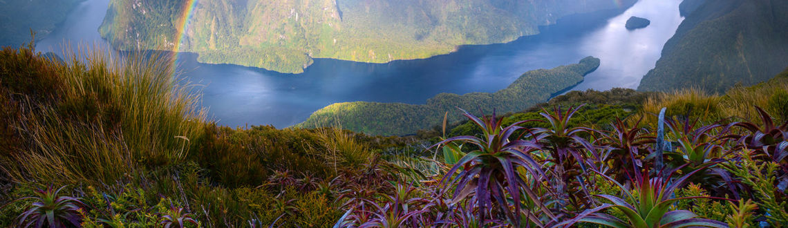 A rainbow hovers over Doubtful Sound in New Zealand. New Zealand, Doubtful Sound, Tourism New Zealand