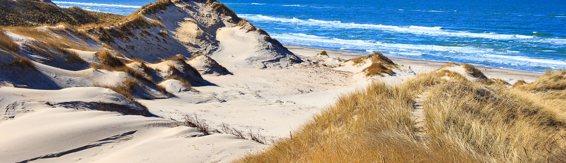 Dunes at the northern sea near Skagen, Denmark Dunes at the northern sea near Skagen, Denmark