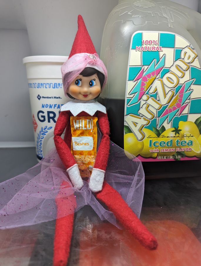 Elf on the Shelf Elf on the Shelf