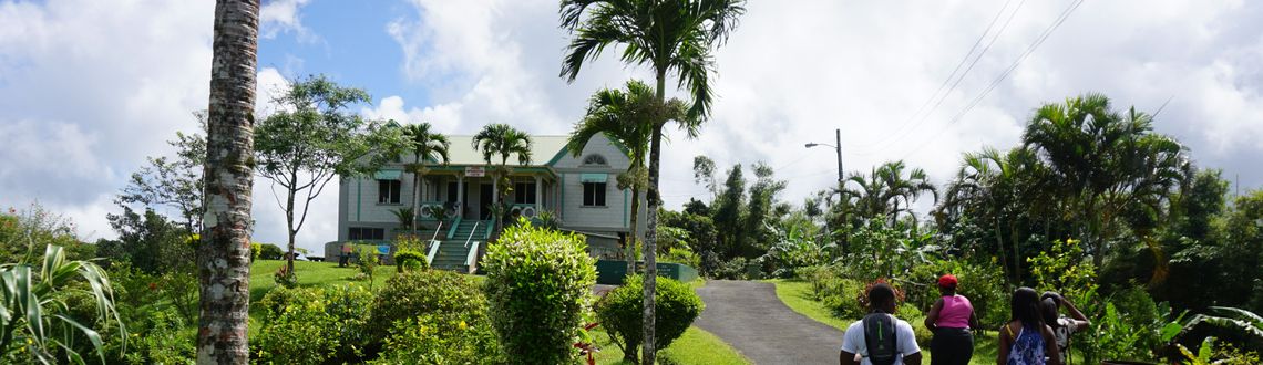 Grand Etang National Park in Grenada Grenada's Grand Etang National Park, caribbean, island,