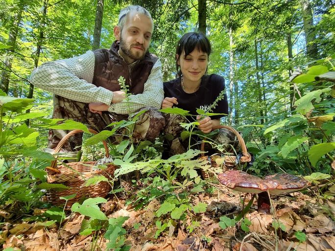 Mushroom foraging is a popular activity for local Slovenians. Mushroom foraging is a popular activity for local Slovenians.
