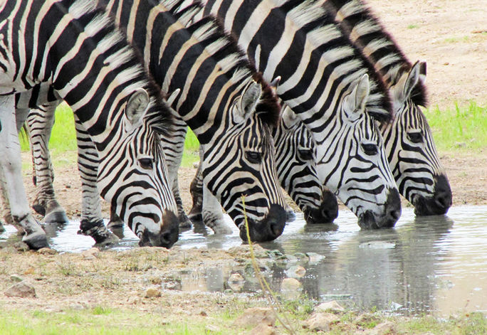 Spectacular South Africa Spectacular South Africa