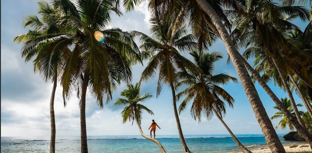 Taste the Paradise of the Dominican Republic