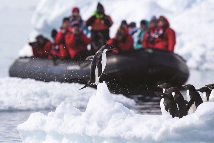 Travelers on a Red Savannah Antarctica expedition with Silversea view Adelie penguins. Silversea, Red Savannah, antarctica expeditions, adelie penguins